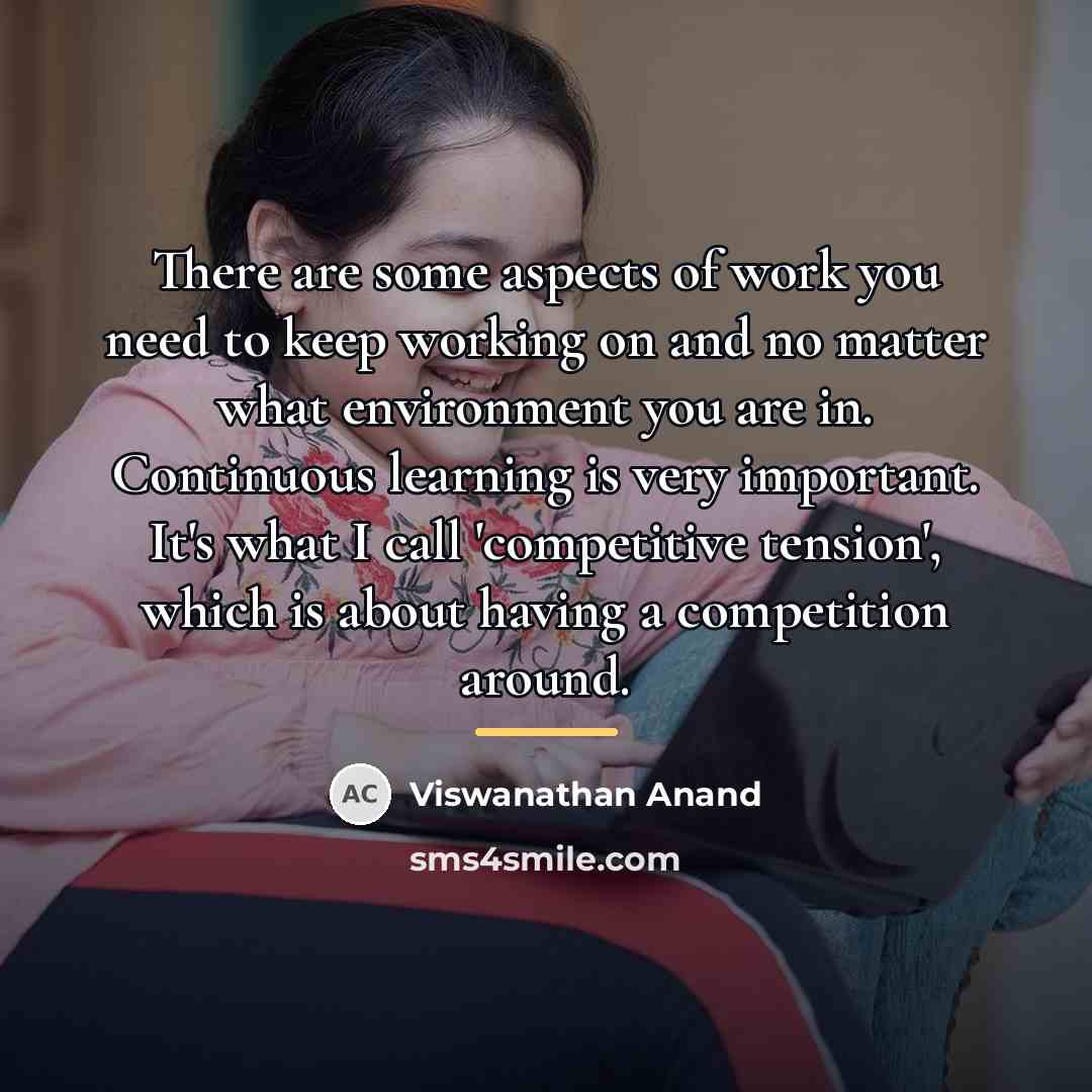 “There are some aspects of work you need to keep…” quote by Viswanathan Anand