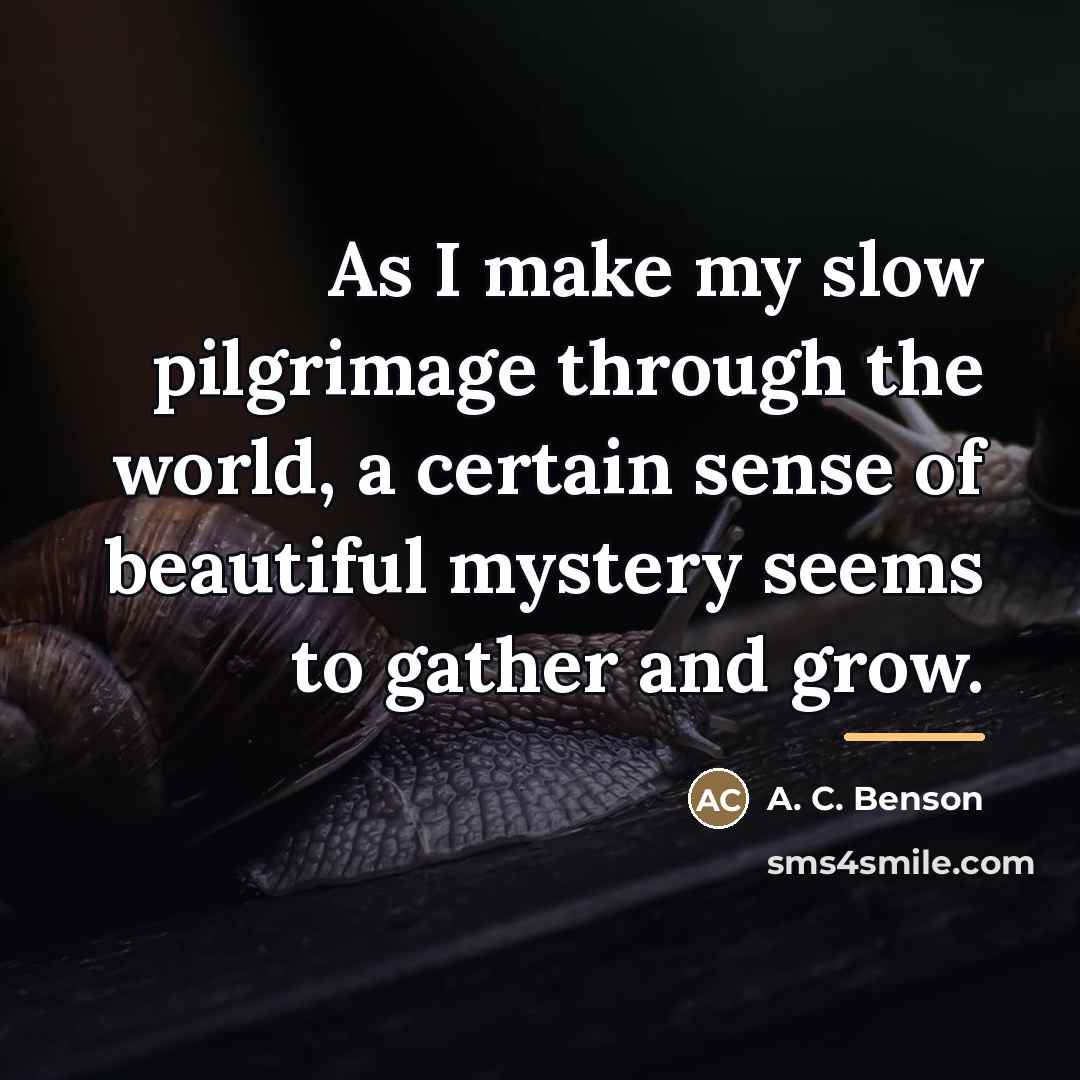 “As I make my slow pilgrimage through the world, a…” quote by A. C. Benson