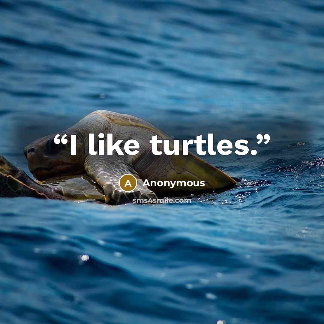 “I like turtles.” quote by Anonymous
