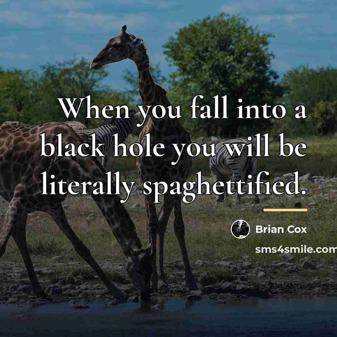“When you fall into a black hole you will be…” quote by Brian Cox