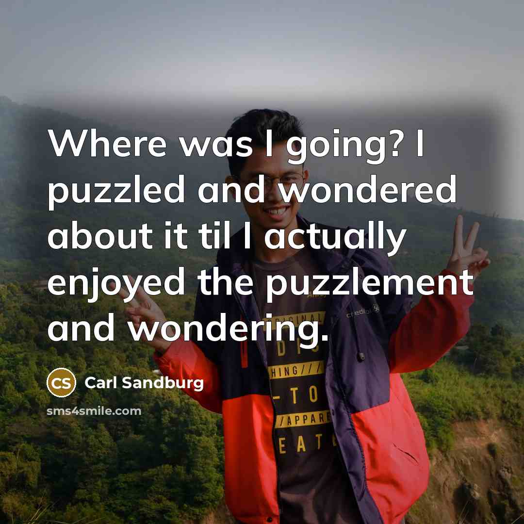 “Where was I going? I puzzled and wondered about it…” quote by Carl Sandburg