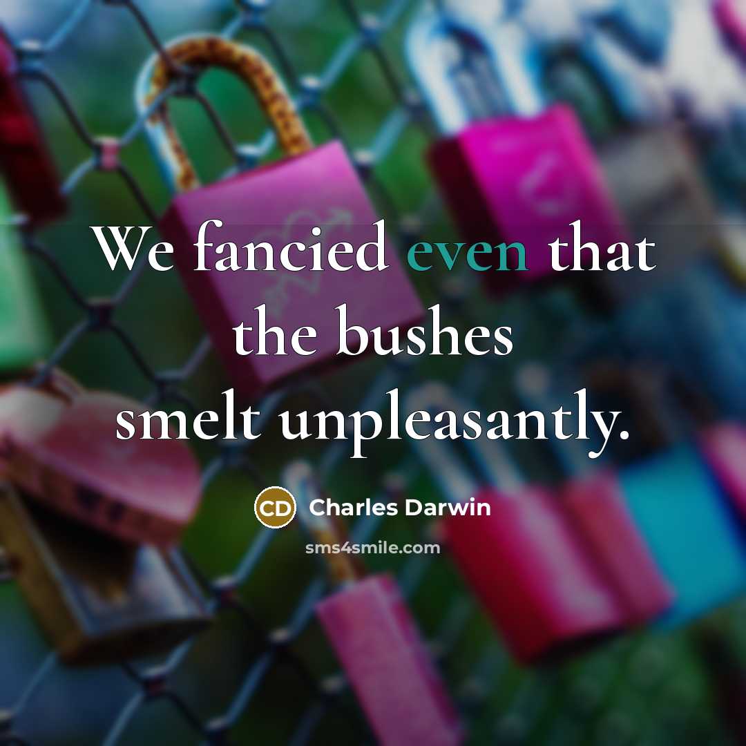 “We fancied even that the bushes smelt unpleasantly.…” quote by Charles Darwin