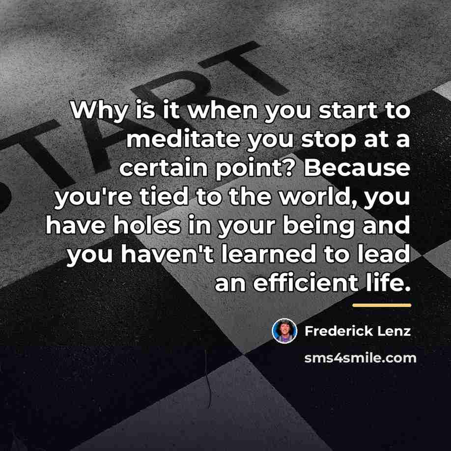 “Why is it when you start to meditate you stop…” quote by Frederick Lenz