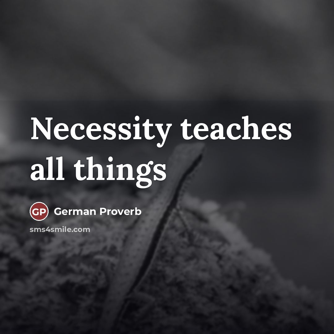 “Necessity teaches all things…” quote by German Proverb