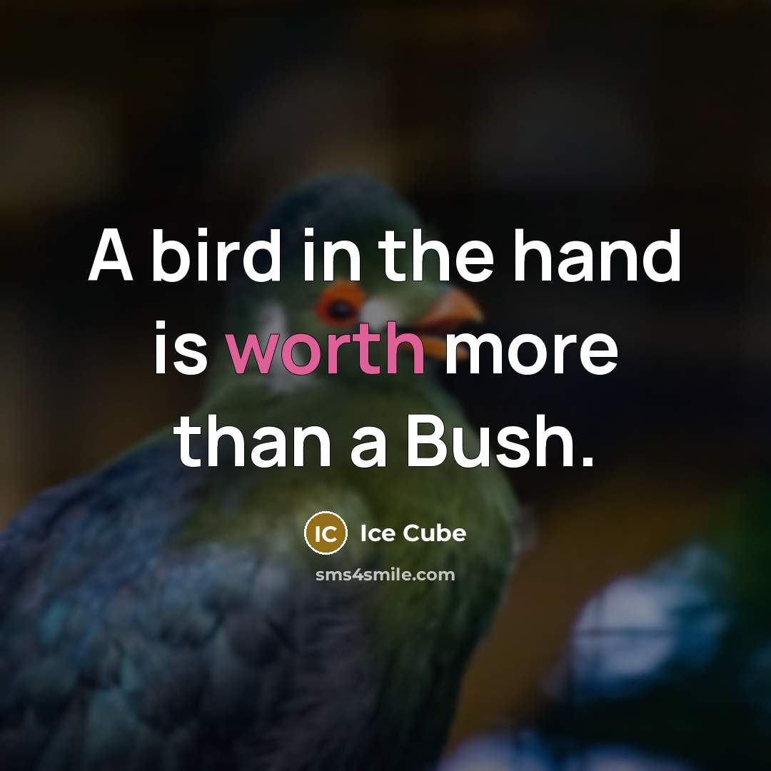 “A bird in the hand is worth more than a…” quote by Ice Cube
