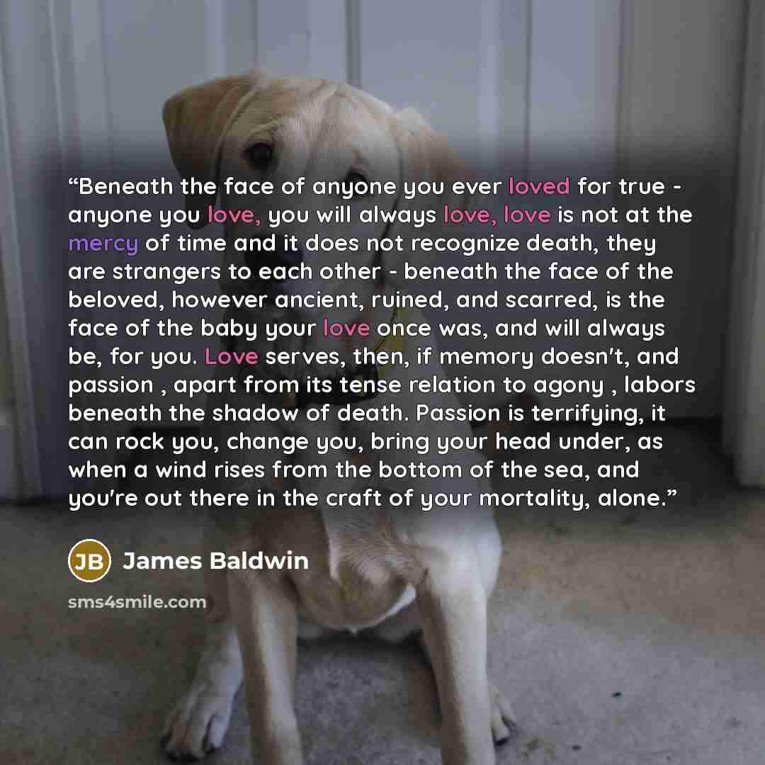 “Beneath the face of anyone you ever loved for true - anyone you love, you will always love, love is not at the mercy of time and it does not recognize death, they are strangers to each other - beneath the face of the beloved, however ancient, ruined, and scarred, is the face of the baby your love…” quote by James Baldwin