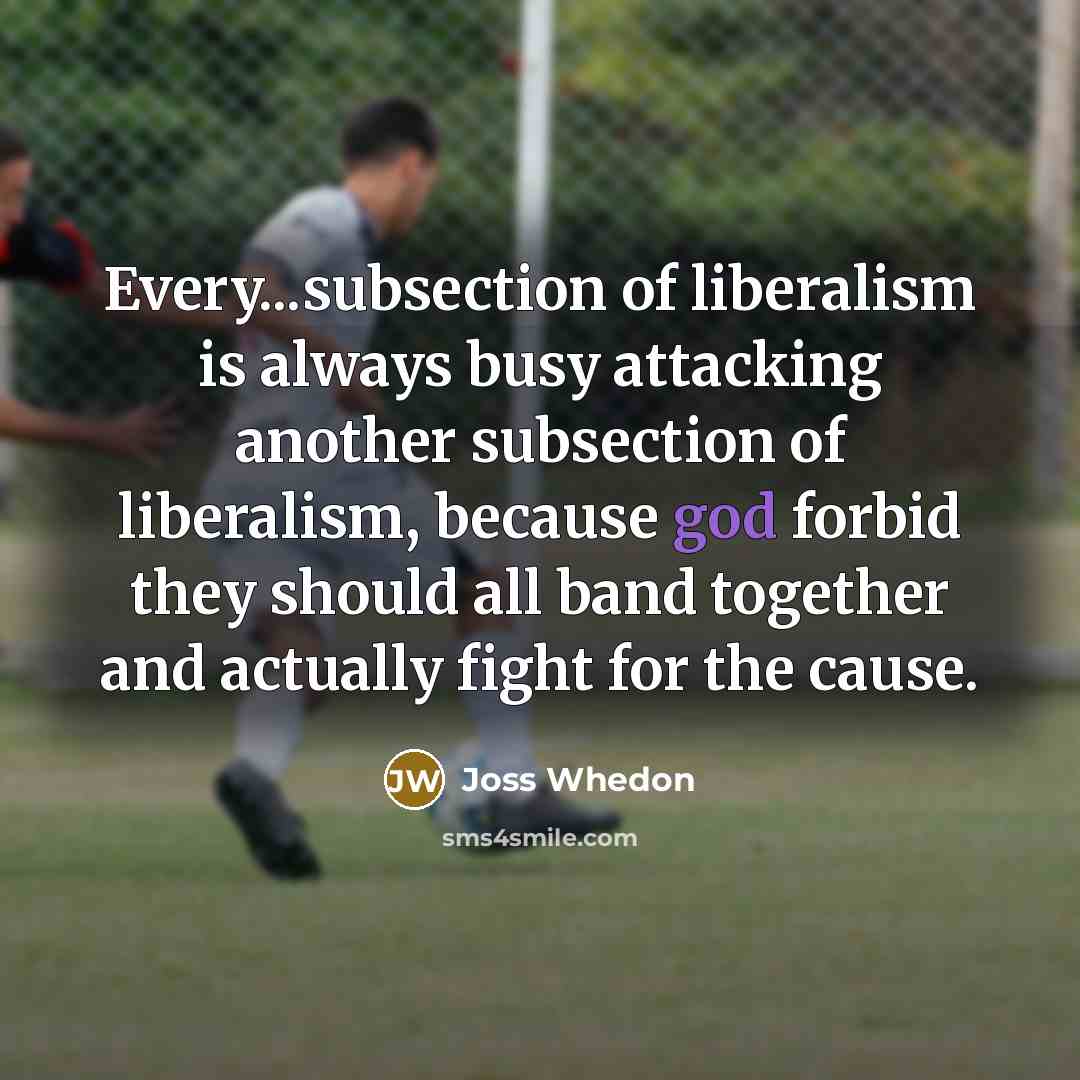 “Every...subsection of liberalism is always busy attacking another subsection of…” quote by Joss Whedon