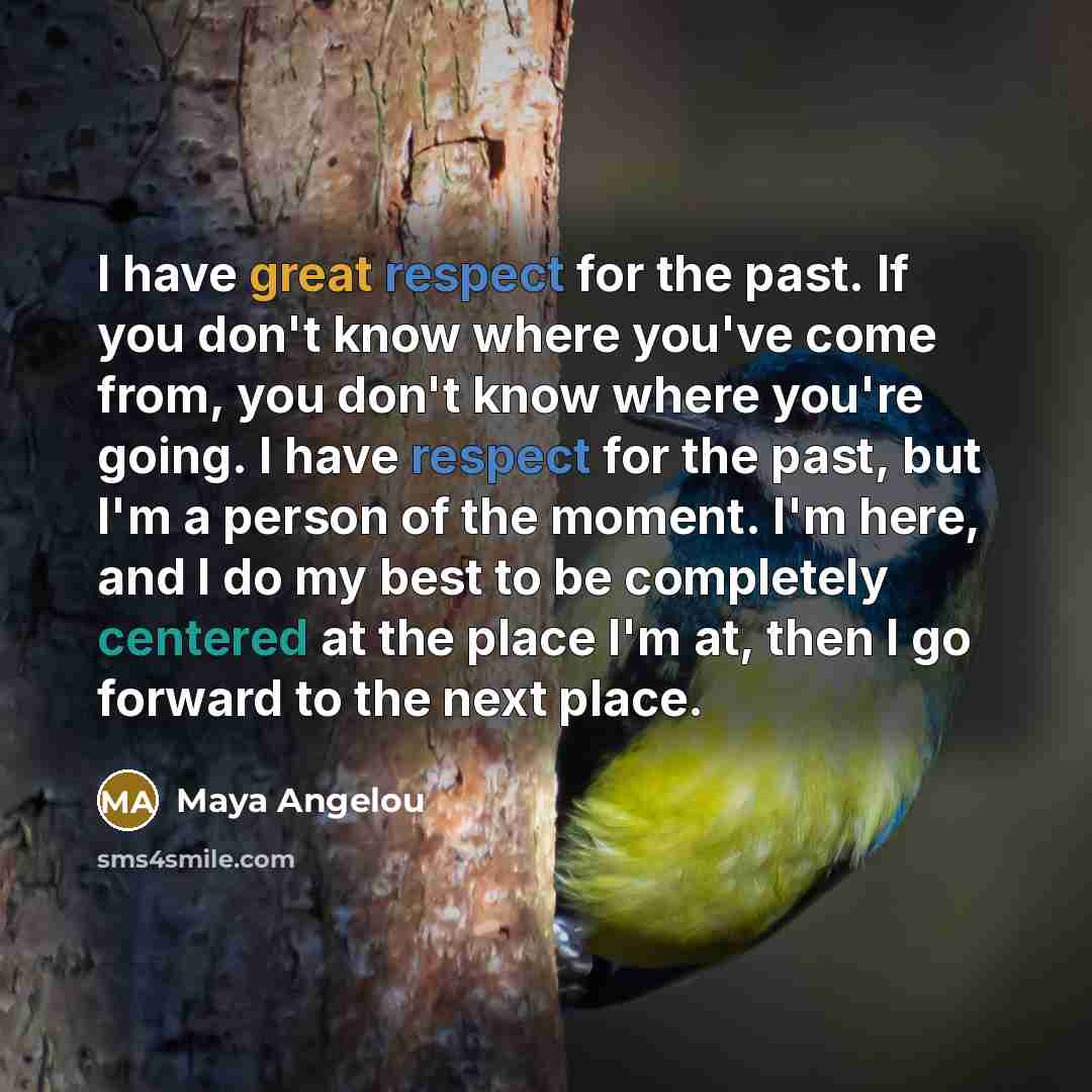 “I have great respect for the past. If you don't…” quote by Maya Angelou