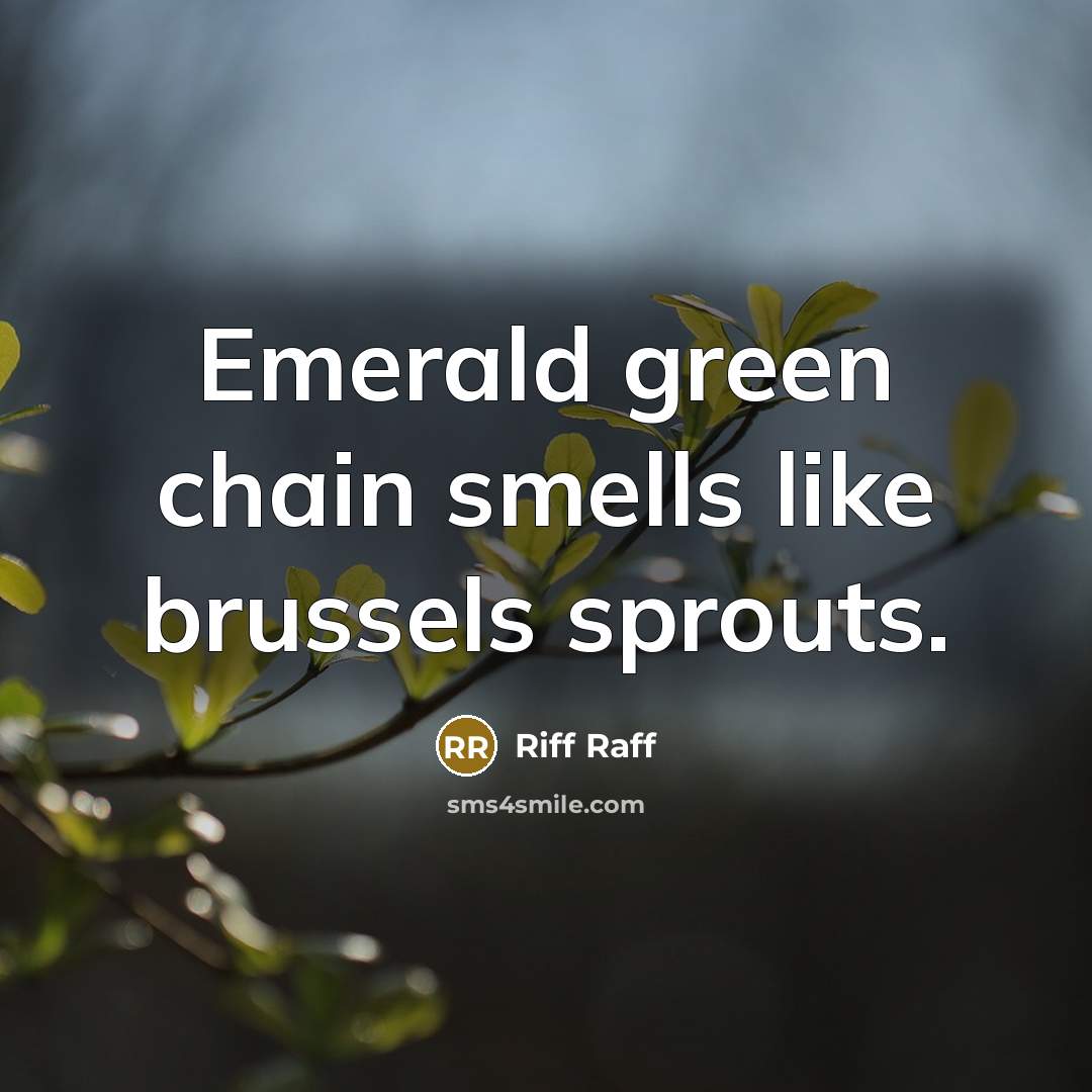 “Emerald green chain smells like brussels sprouts.” quote by Riff Raff