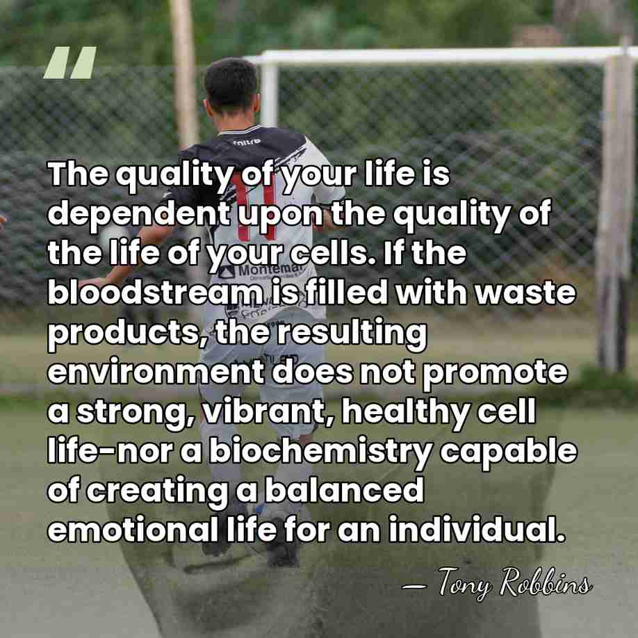 The quality of your life is dependent upon the quality of the&hellip; - Tony Robbins