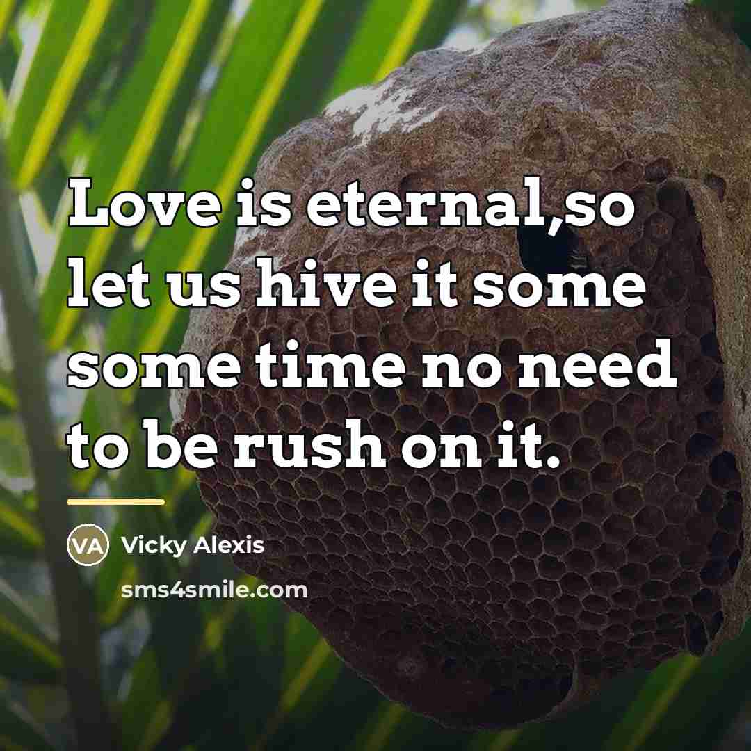 “Love is eternal,so let us hive it some some time…” quote by Vicky Alexis