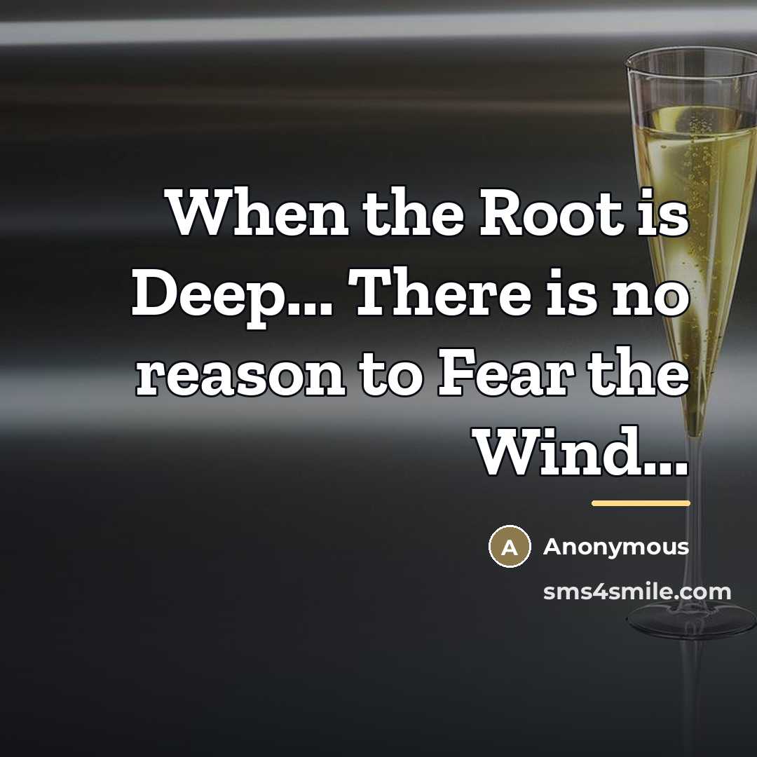 “When the Root is Deep... There is no reason to…” quote by Anonymous