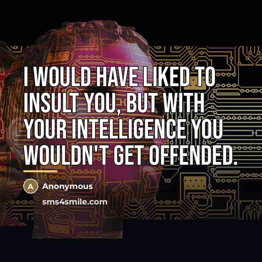 “I would have liked to insult you, but with your…” quote by Anonymous