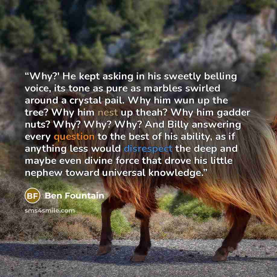 “Why?' He kept asking in his sweetly belling voice, its tone as pure as marbles swirled around a crystal pail. Why him wun up the tree? Why him nest up theah? Why him gadder nuts? Why? Why? Why? And Billy answering every question to the best of his ability, as if anything less would disrespect the…” quote by Ben Fountain