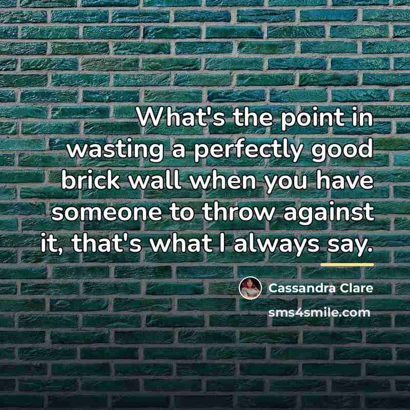“What's the point in wasting a perfectly good brick wall…” quote by Cassandra Clare