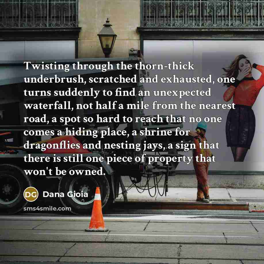 “Twisting through the thorn-thick underbrush, scratched and exhausted, one turns…” quote by Dana Gioia