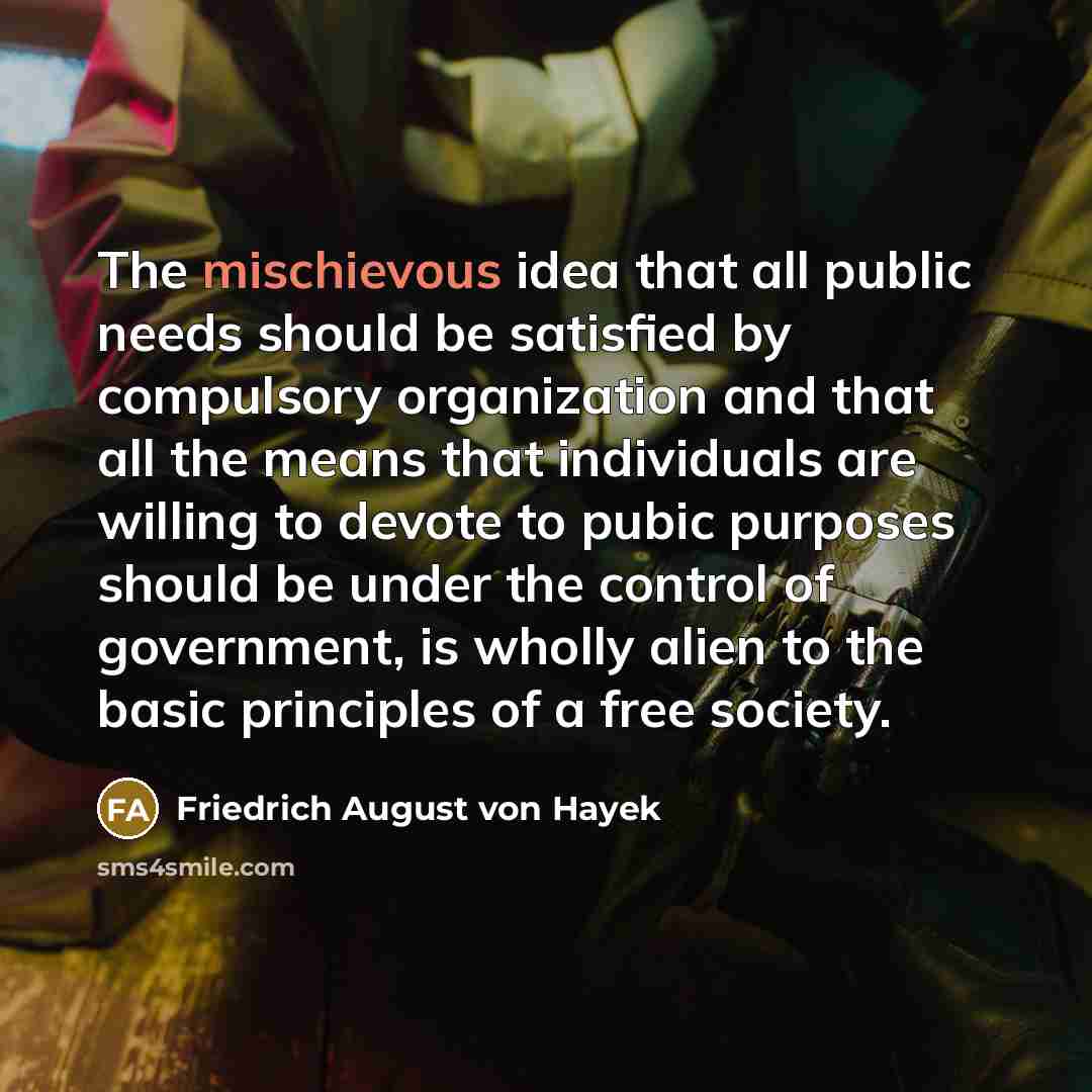 “The mischievous idea that all public needs should be satisfied…” quote by Friedrich August von Hayek