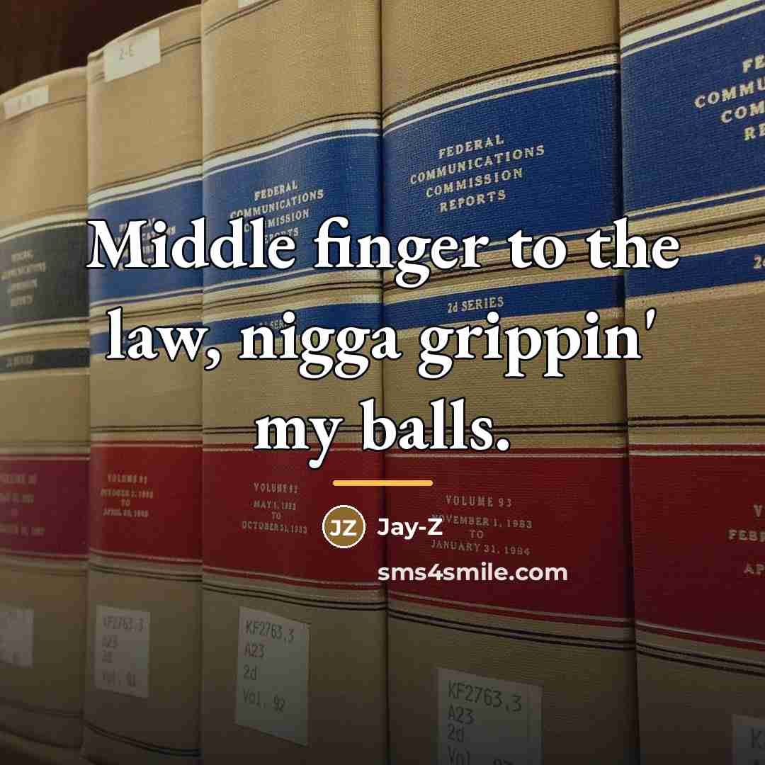 “Middle finger to the law, nigga grippin' my balls.…” quote by Jay-Z