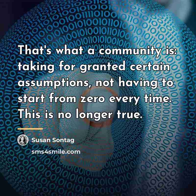 “That's what a community is: taking for granted certain assumptions,…” quote by Susan Sontag
