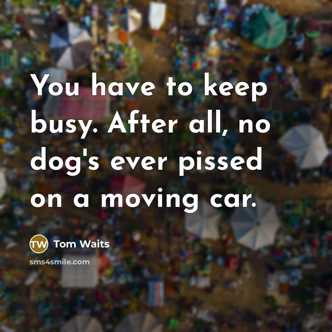 “You have to keep busy. After all, no dog's ever pissed on a moving car.” quote by Tom Waits