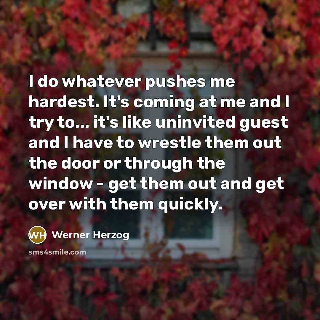 “I do whatever pushes me hardest. It's coming at me…” quote by Werner Herzog