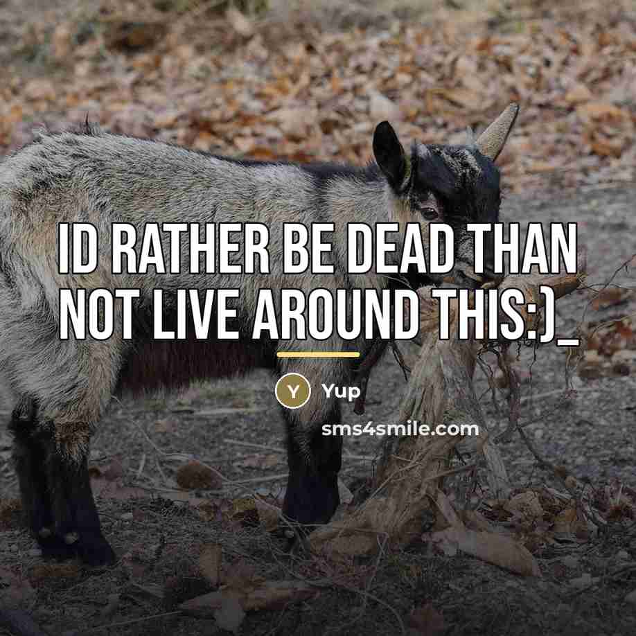 “Id rather be dead than not live around this:)_…” quote by Yup