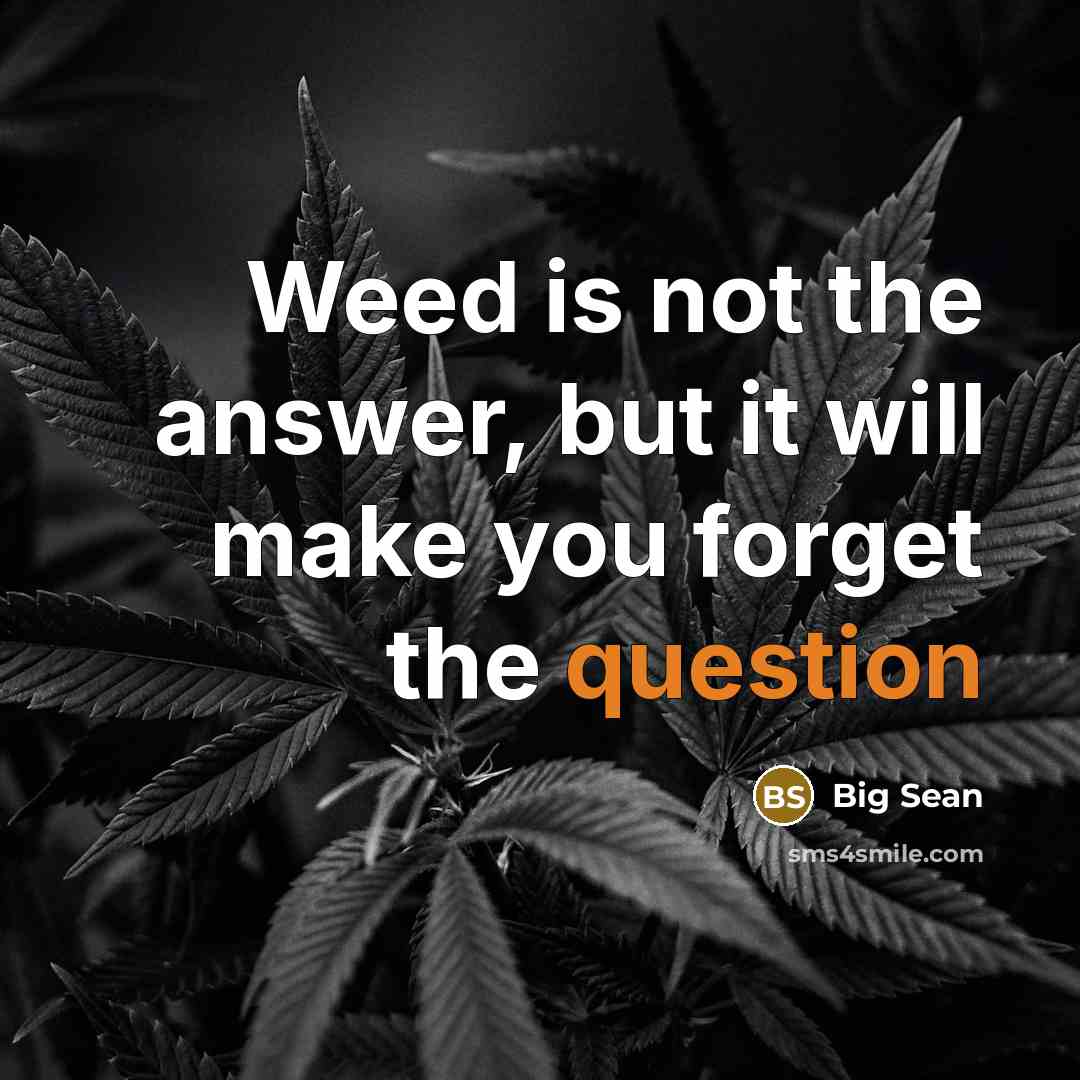 “Weed is not the answer, but it will make you forget the question” quote by Big Sean