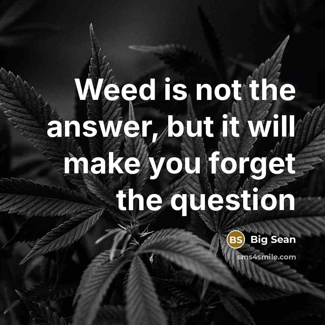 “Weed is not the answer, but it will make you…” quote by Big Sean