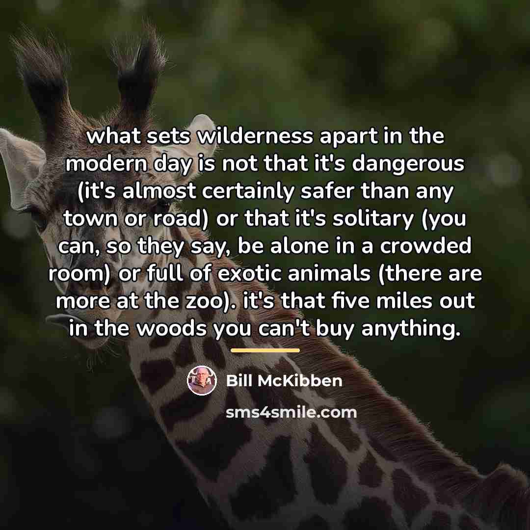 “what sets wilderness apart in the modern day is not…” quote by Bill McKibben