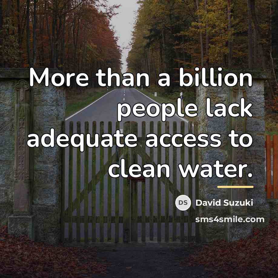“More than a billion people lack adequate access to clean…” quote by David Suzuki
