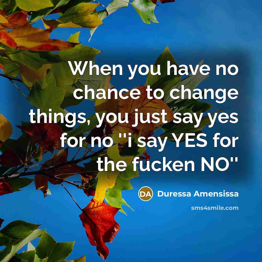 “When you have no chance to change things, you just…” quote by Duressa Amensissa