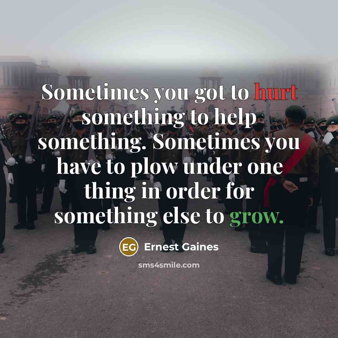 “Sometimes you got to hurt something to help something. Sometimes you have to plow under one thing in order for something else to grow.” quote by Ernest Gaines
