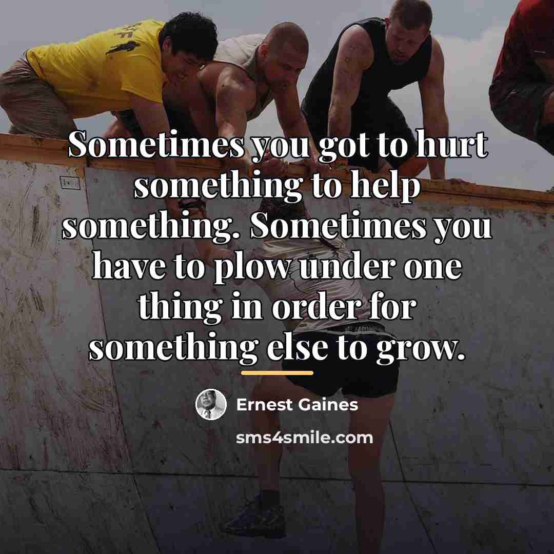 “Sometimes you got to hurt something to help something. Sometimes…” quote by Ernest Gaines