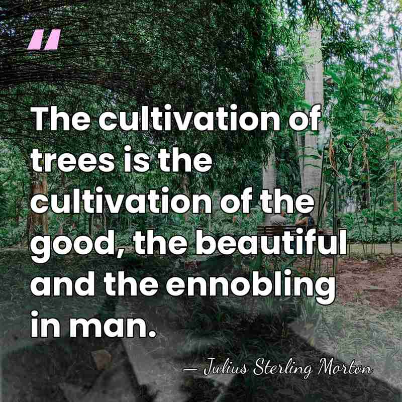 The cultivation of trees is the cultivation of the good, the beautiful&hellip; - Julius Sterling Morton