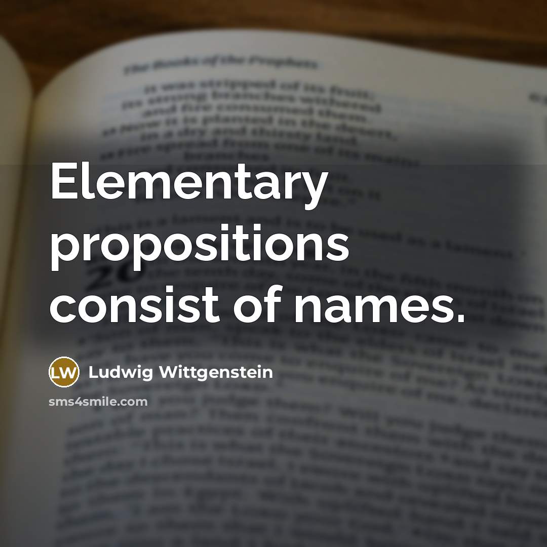 “Elementary propositions consist of names.” quote by Ludwig Wittgenstein