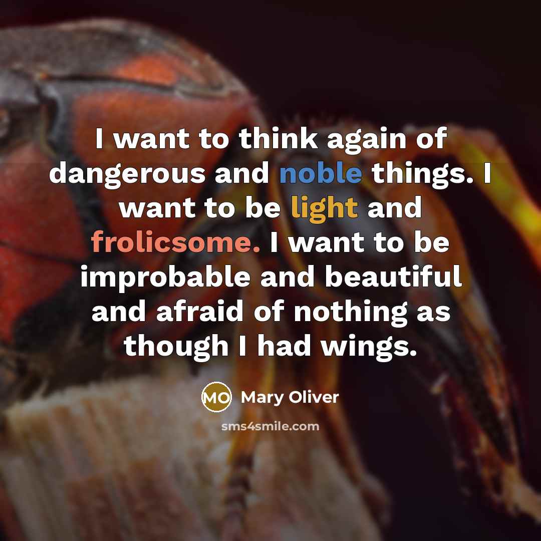 “I want to think again of dangerous and noble things.…” quote by Mary Oliver