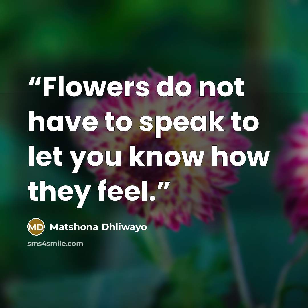 “Flowers do not have to speak to let you know how they feel.” quote by Matshona Dhliwayo
