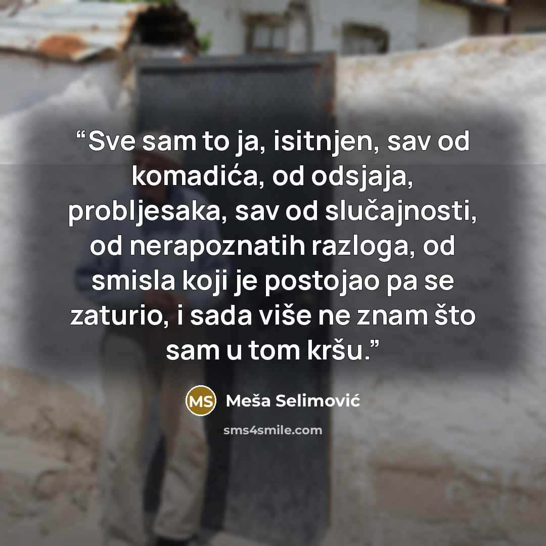 “Sve sam to ja, isitnjen, sav od komadića, od odsjaja, probljesaka, sav od slučajnosti, od nerapoznatih razloga, od smisla koji je postojao pa se zaturio, i sada više ne znam što sam u tom kršu.” quote by Meša Selimović