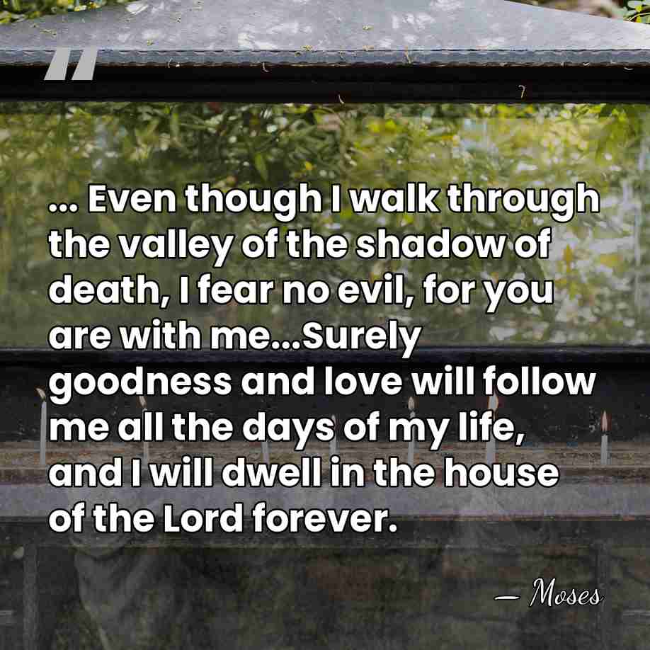 ... Even though I walk through the valley of the shadow of&hellip; - Moses