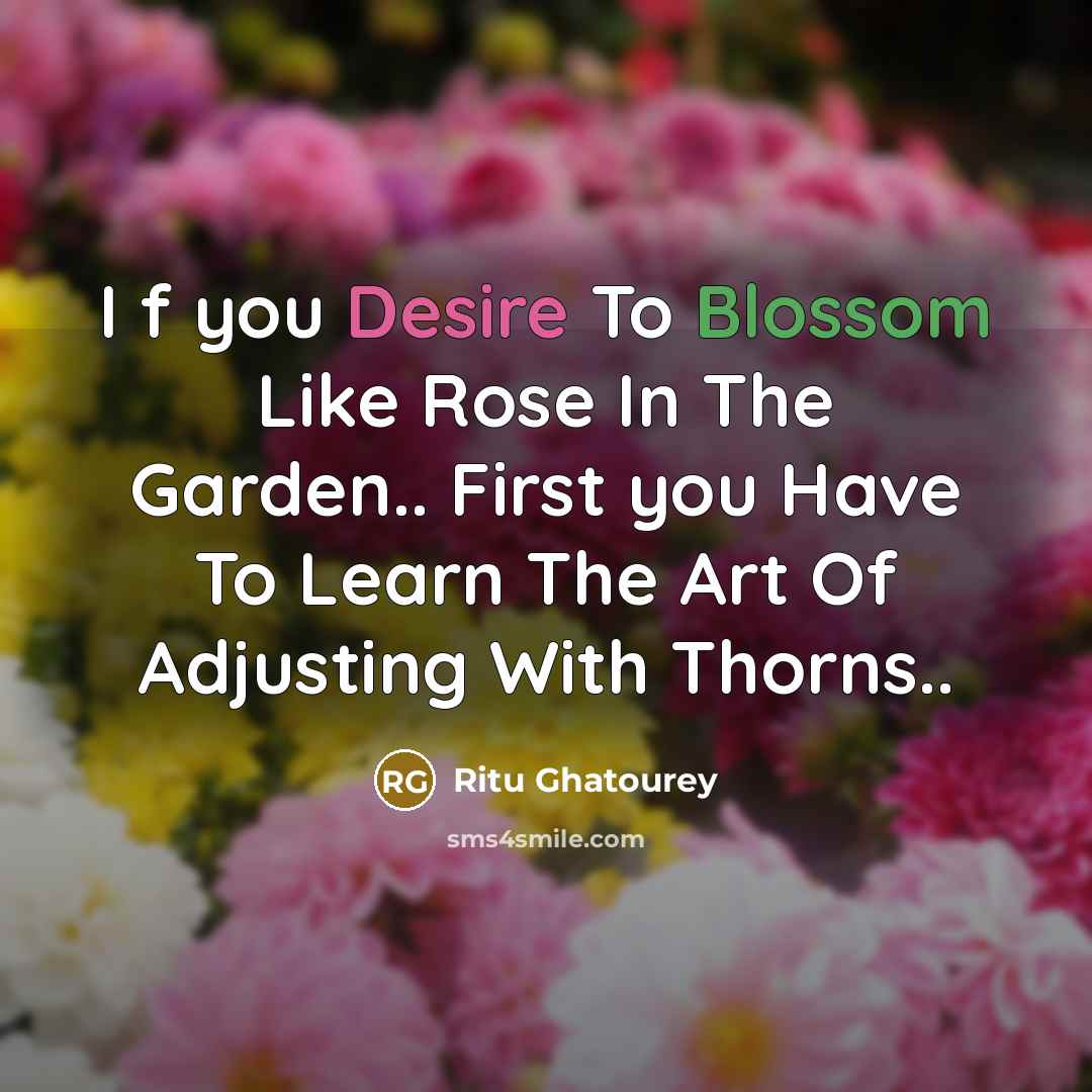 “I f you Desire To Blossom Like Rose In The…” quote by Ritu Ghatourey