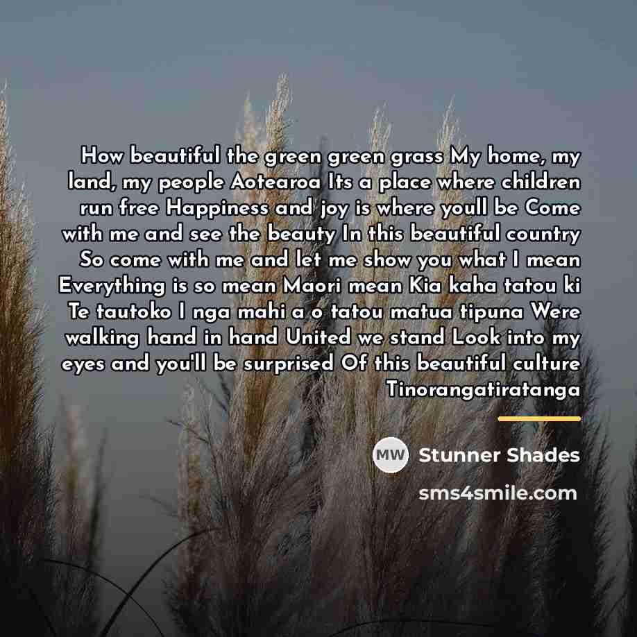“How beautiful the green green grass My home, my land,…” quote by Stunner Shades