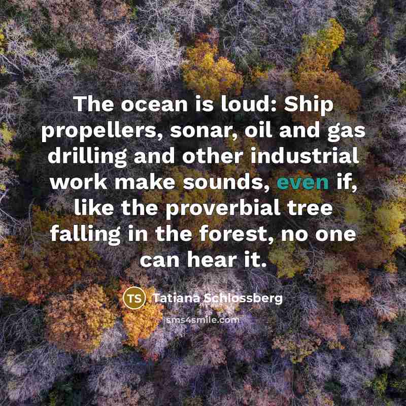 “The ocean is loud: Ship propellers, sonar, oil and gas…” quote by Tatiana Schlossberg