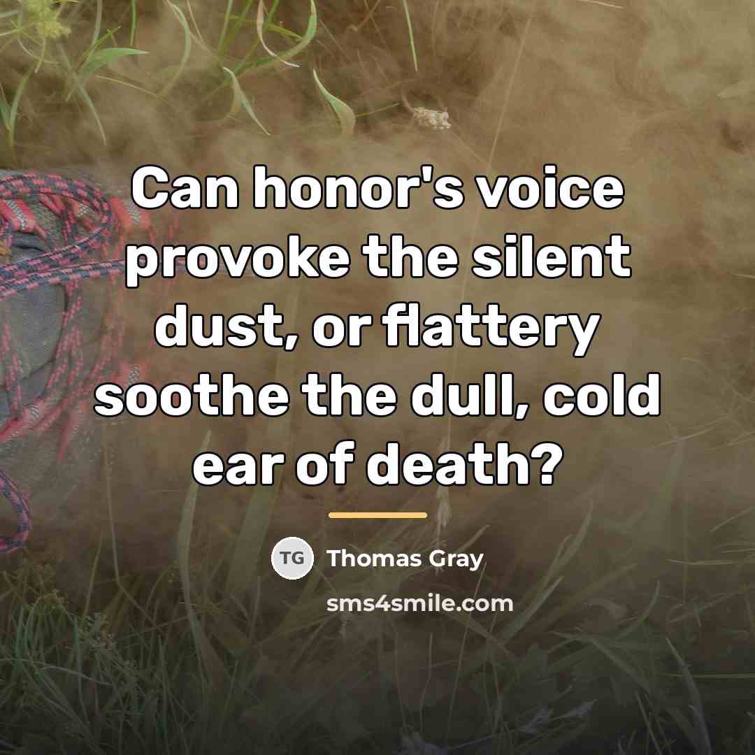 “Can honor's voice provoke the silent dust, or flattery soothe…” quote by Thomas Gray