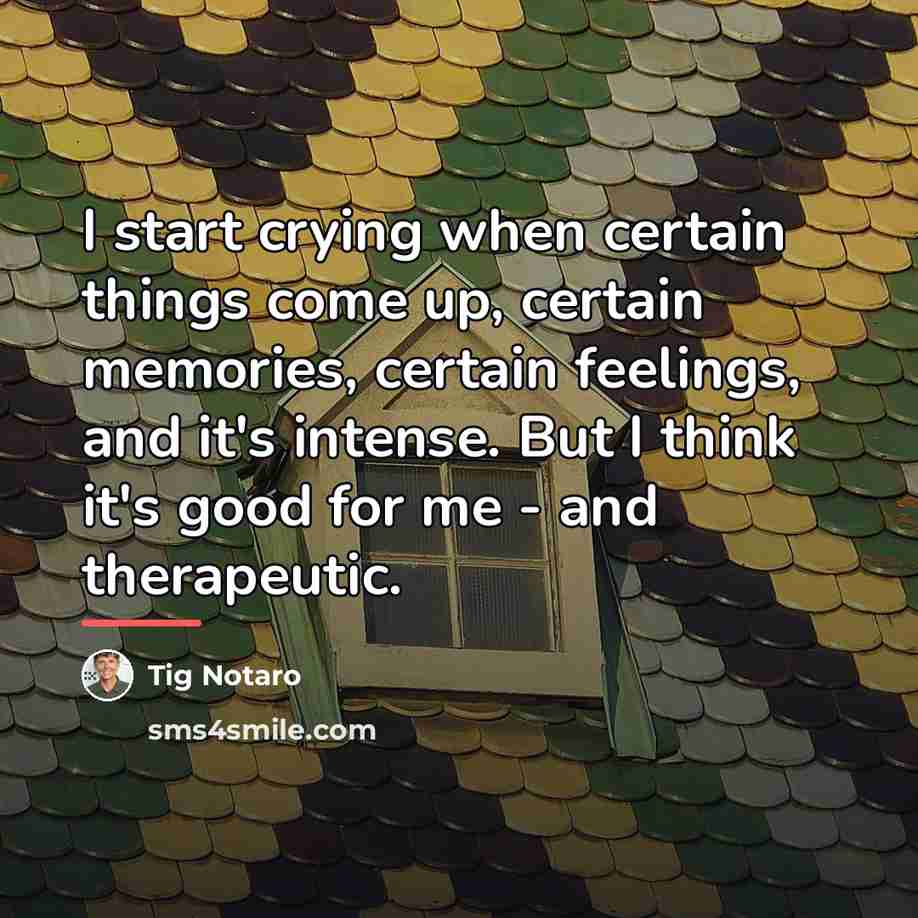 “I start crying when certain things come up, certain memories,…” quote by Tig Notaro