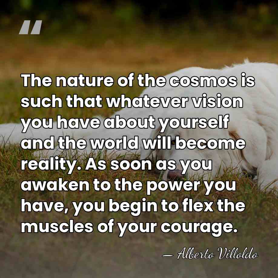The nature of the cosmos is such that whatever vision you have&hellip; - Alberto Villoldo