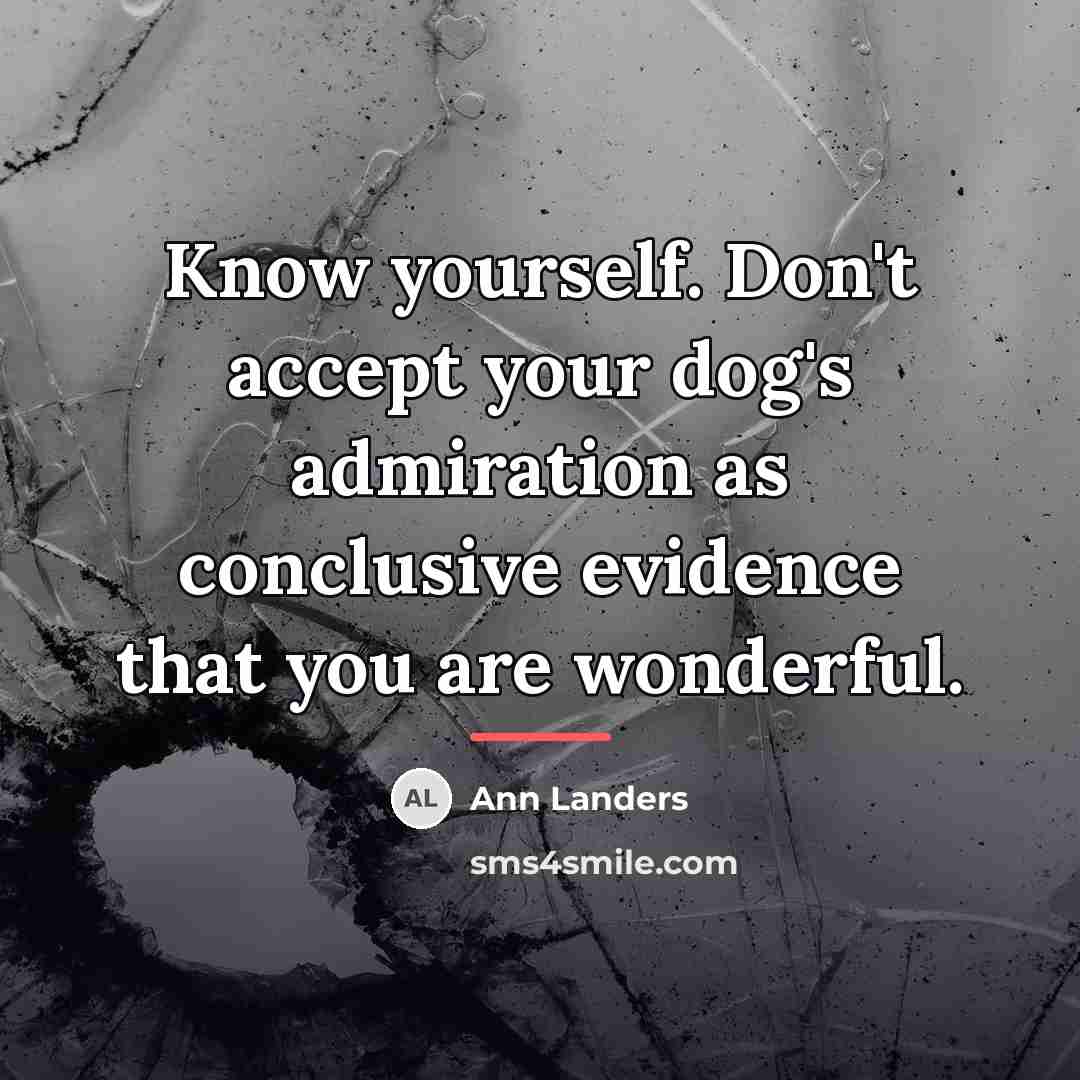 “Know yourself. Don't accept your dog's admiration as conclusive evidence…” quote by Ann Landers