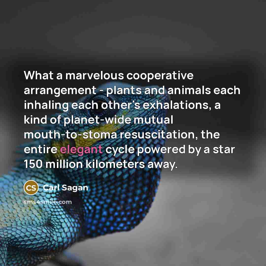 “What a marvelous cooperative arrangement - plants and animals each…” quote by Carl Sagan