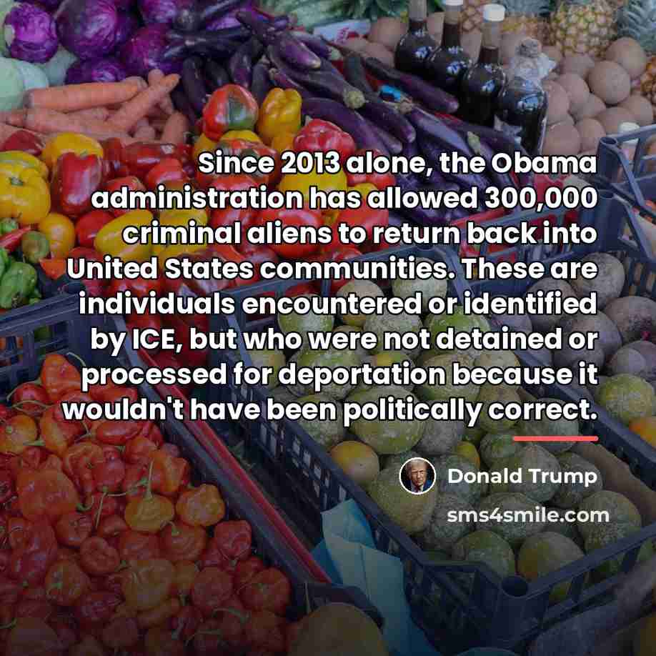 “Since 2013 alone, the Obama administration has allowed 300,000 criminal…” quote by Donald Trump