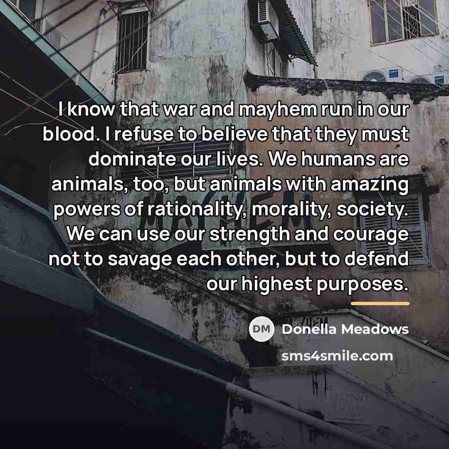 “I know that war and mayhem run in our blood.…” quote by Donella Meadows