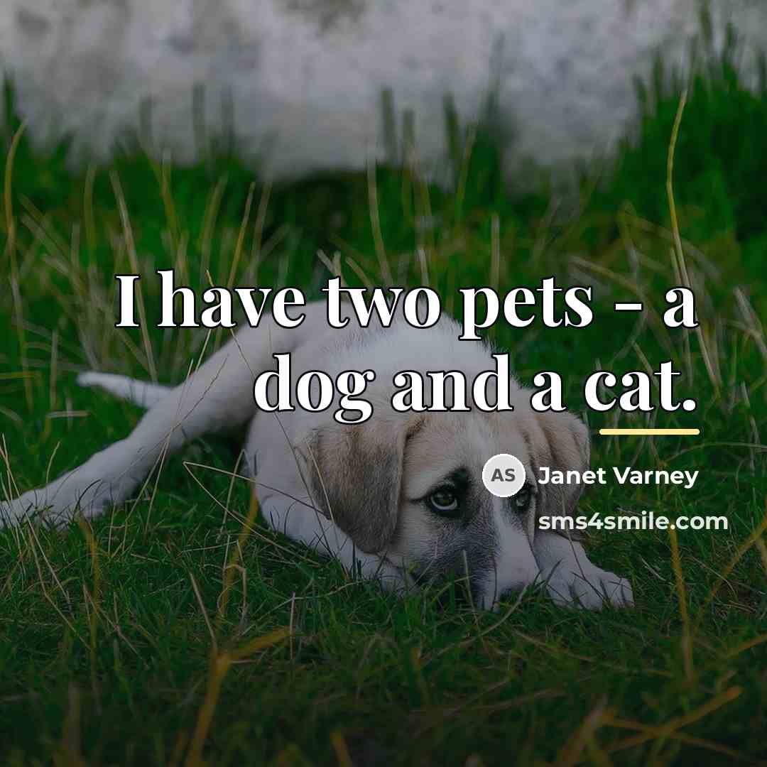 “I have two pets - a dog and a cat.…” quote by Janet Varney